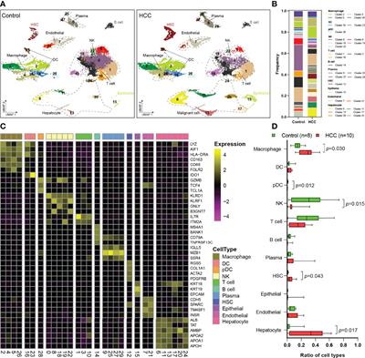 Frontiers | Single-Cell Transcriptomic Analysis Reveals Macrophage ...